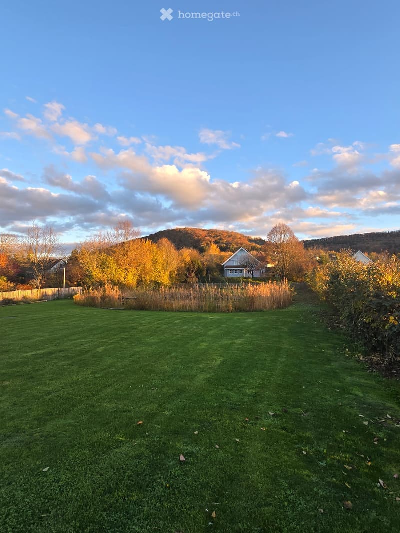 green grass, tall trees, a house at the back, and mountains on the back