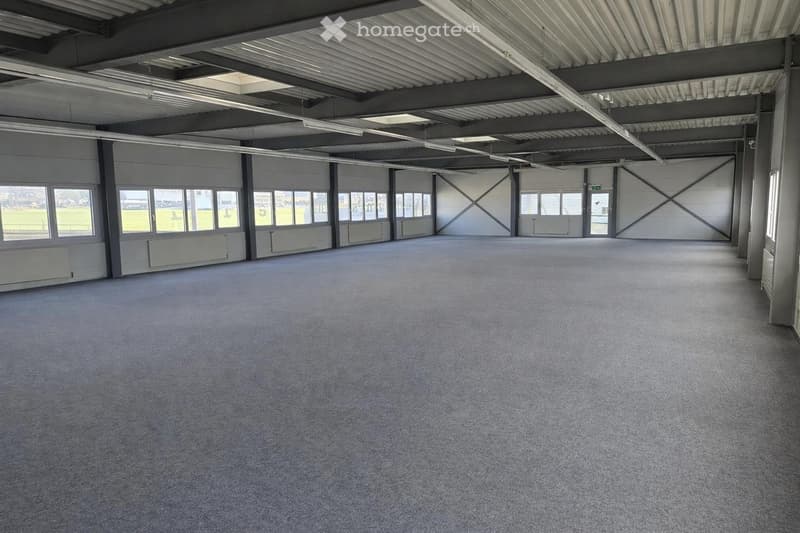 Empty warehouse with carpeted floor, metal beams, large windows facing the exterior