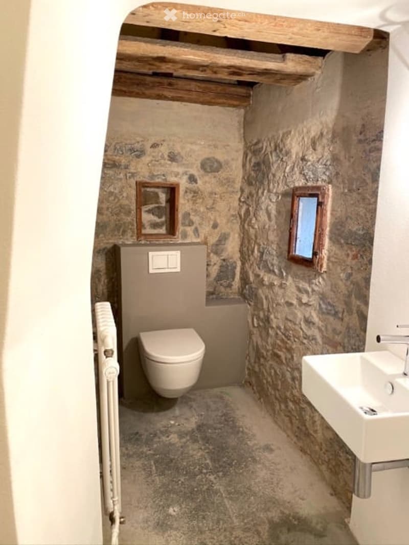 Compact bathroom with exposed stone walls, modern toilet, washbasin, radiator, wooden beam ceiling, small windows.