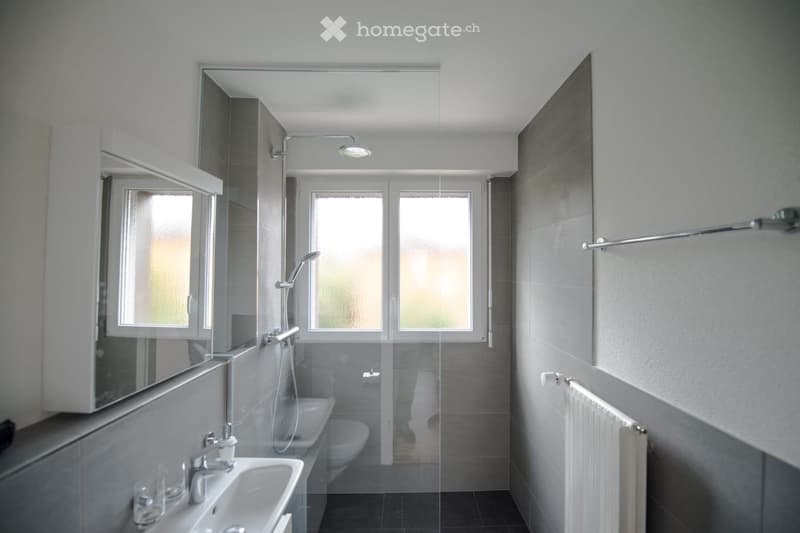 white tiles, white sink, glass shower, white toilet, silver handrail, mirror