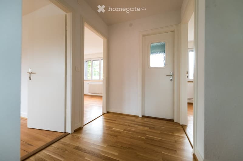 Empty corridor with wooden flooring, white walls, and white doors.