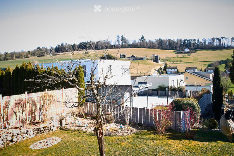 garden with stone wall, tree, fences, grassy lawn