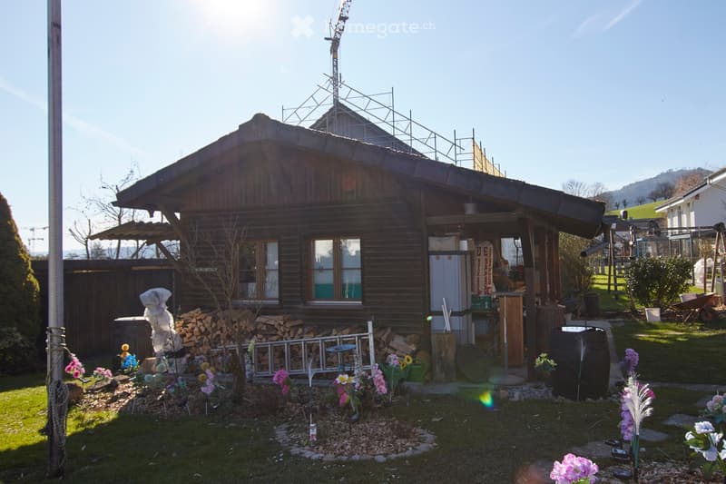 wooden house, exterior of wooden house, surrounded by garden with flowers, several wooden barrels