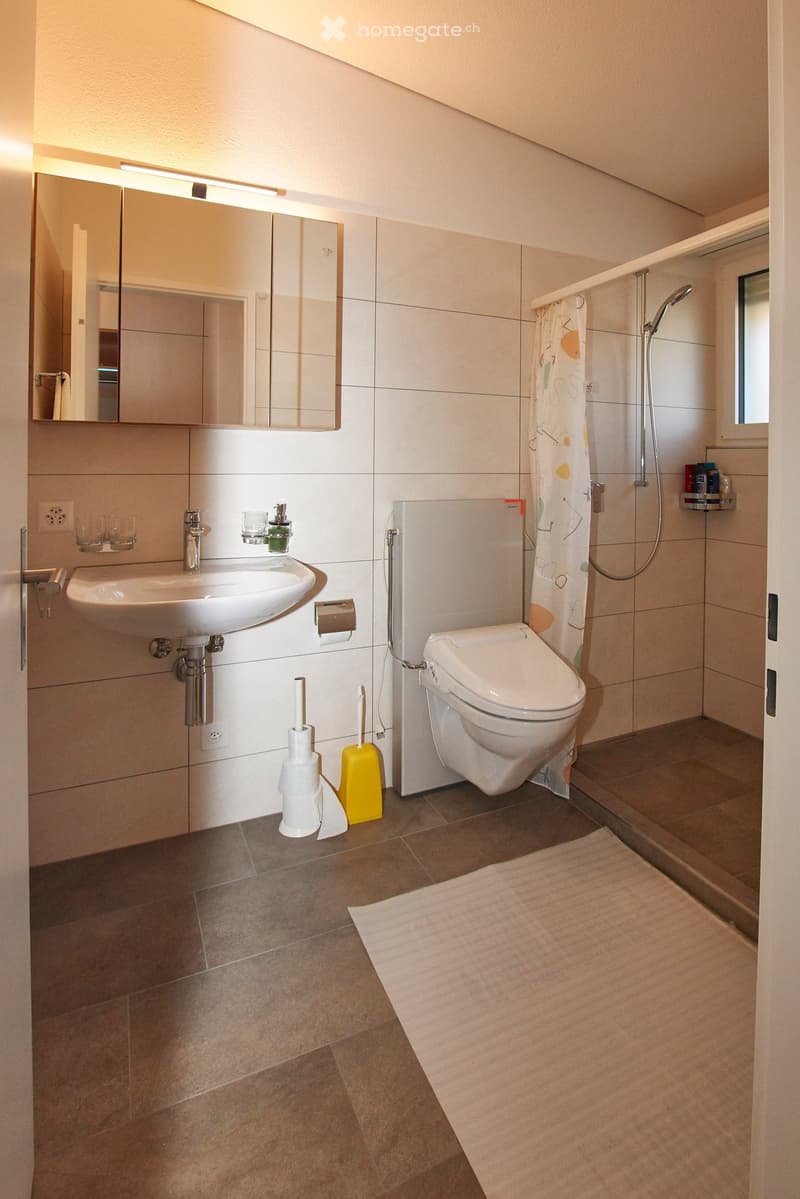 a modern, clean bathroom with a shower, a toilet, a sink, a tiled floor, and a small rug