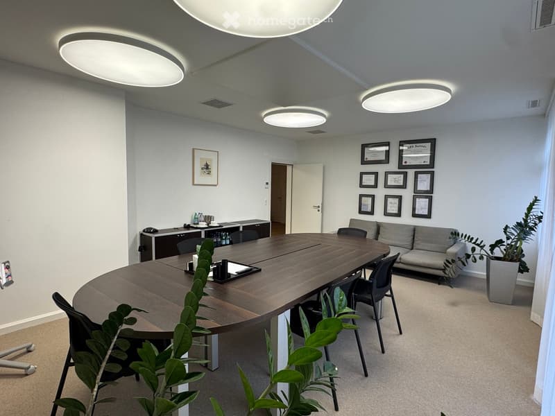 Round wooden table, chairs, carpeted floor, plants, round ceiling lights, large gray sofa, framed pictures