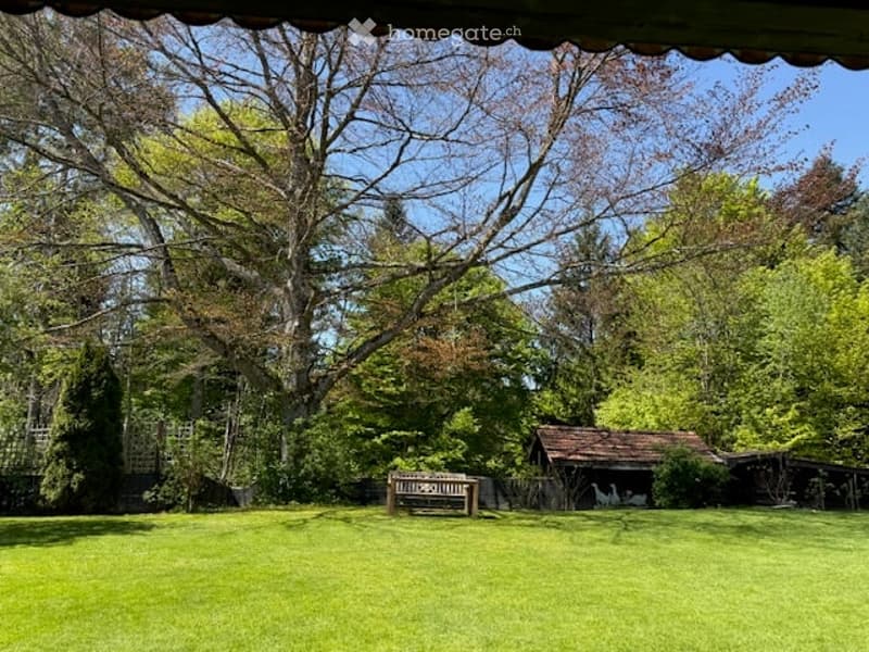 Freistehendes Einfamilienhaus an TOP - Lage mit 270 m2 Wohnfläche / 1149 m2 Grundstückfläche (8)