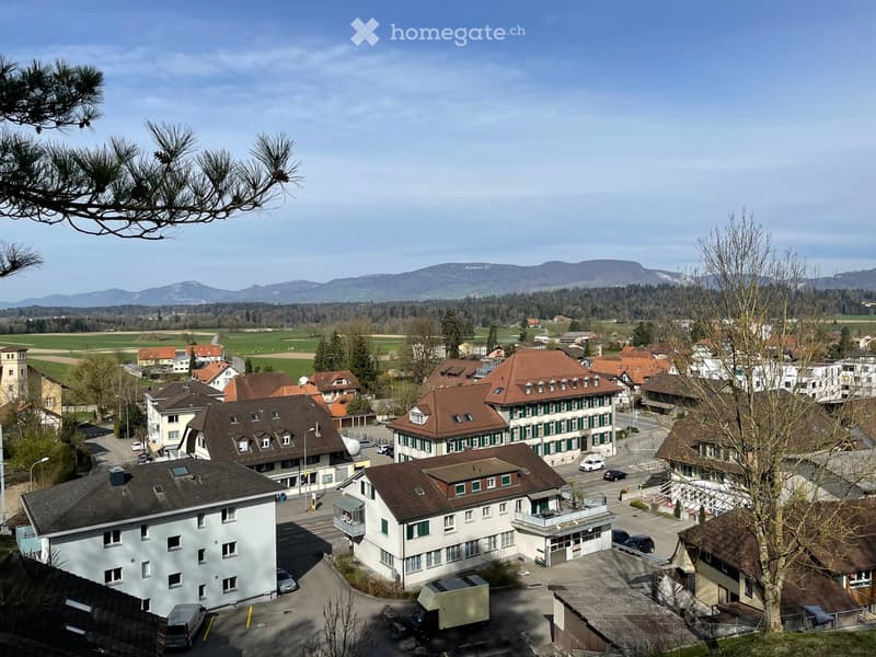 top view of a town with many houses, mountains in the background, green field, cars parked