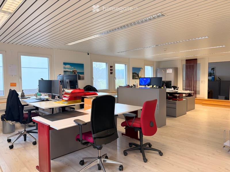spacious open-plan office with desks, monitors, cabinets, and windows
