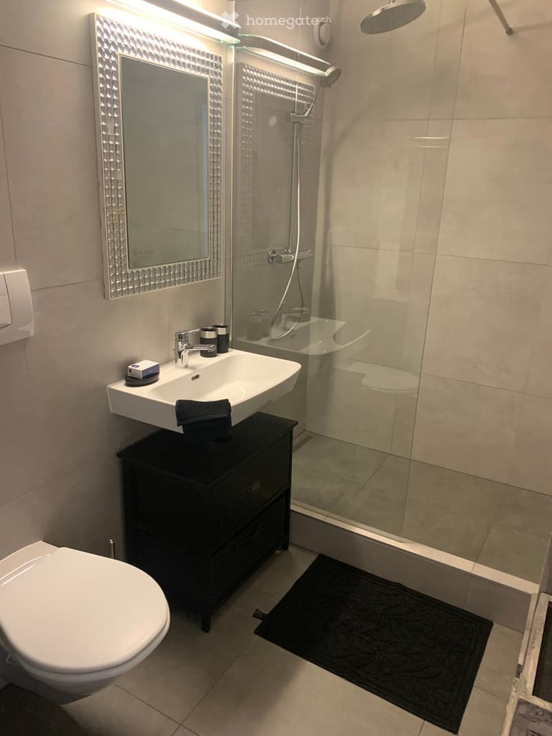 A Louer, Superbe appartement meublé (12)