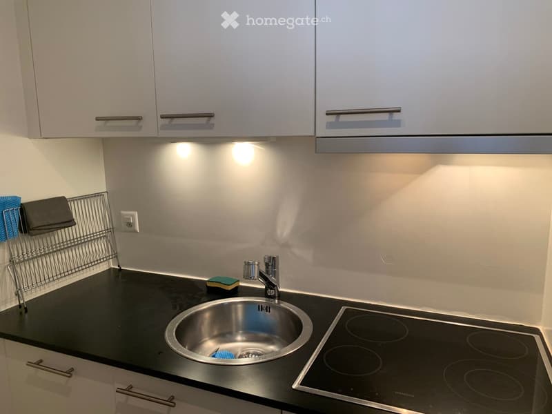 A Louer, Superbe appartement meublé (15)