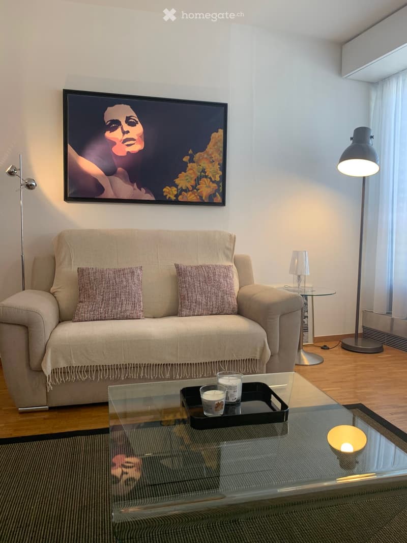 A Louer, Superbe appartement meublé (6)
