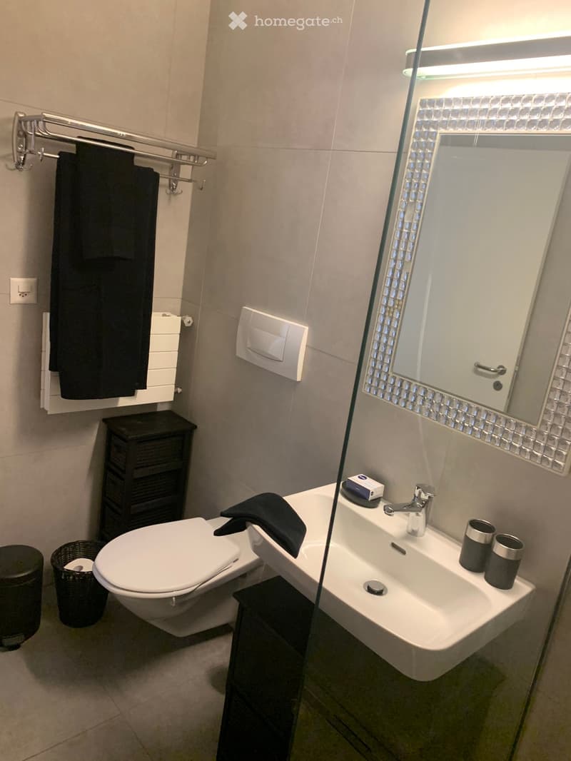 A Louer, Superbe appartement meublé (13)