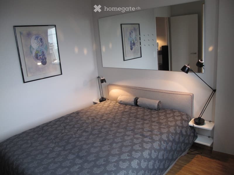 A Louer, Superbe appartement meublé (11)