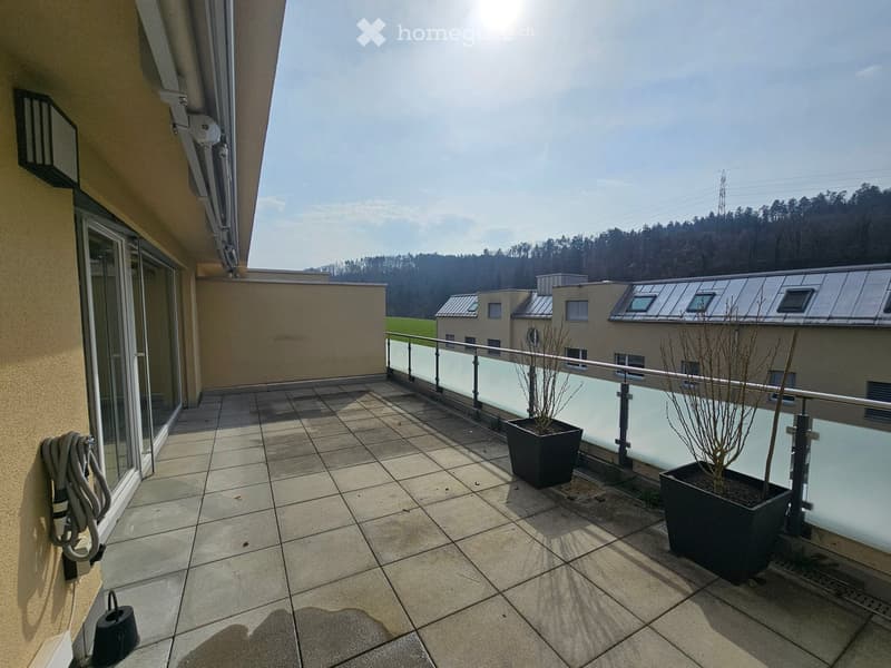 Terrace with tiled floor, glass railings, two large potted plants, electrical outlet, and power cable. Distant view of green field and buildings.