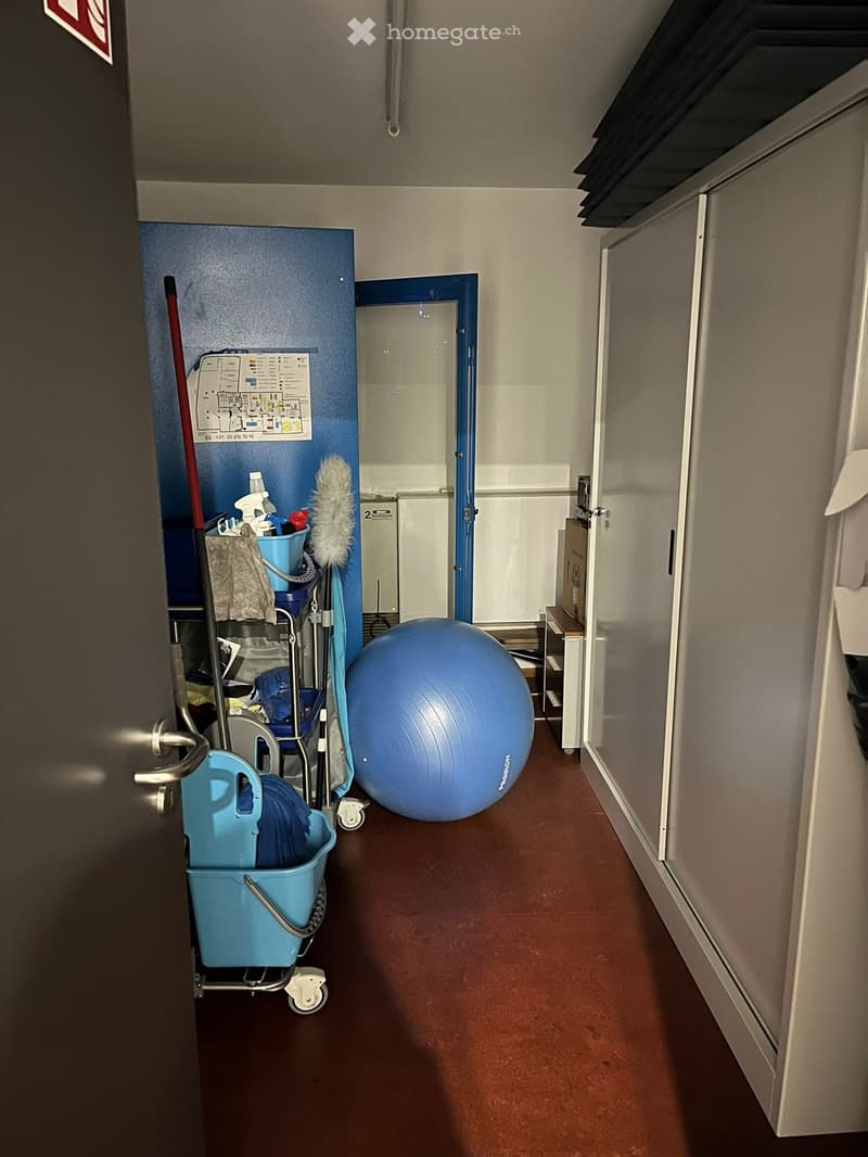 Room with blue door, red floor, metal shelves, storage box, cleaning products, blue exercise ball, mop, cleaning trolley