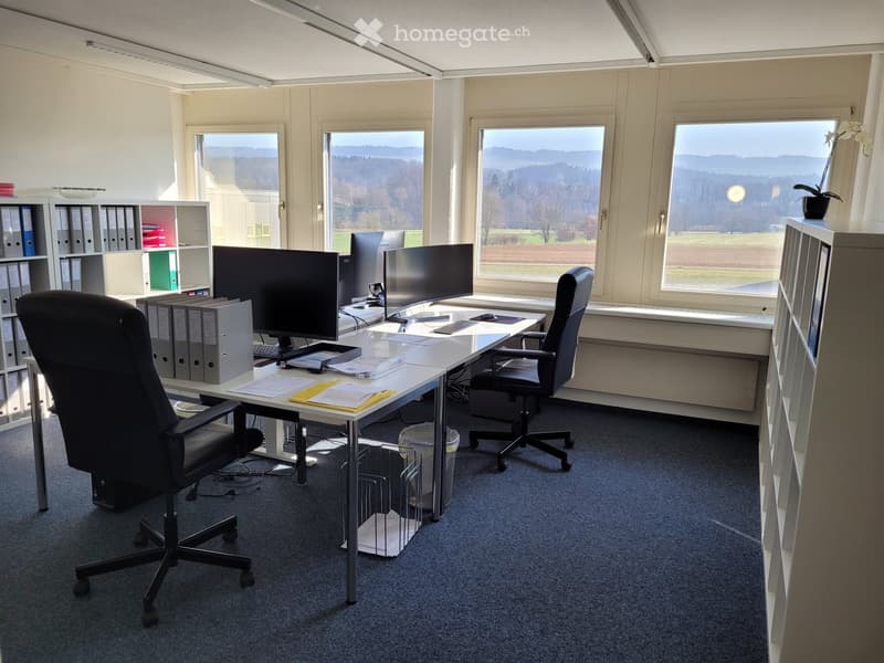 Desk, two computer monitors, keyboards, mice, two black swivel chairs, two filing cabinets, waste bin, trash can, carpet, two bookcases, radiators