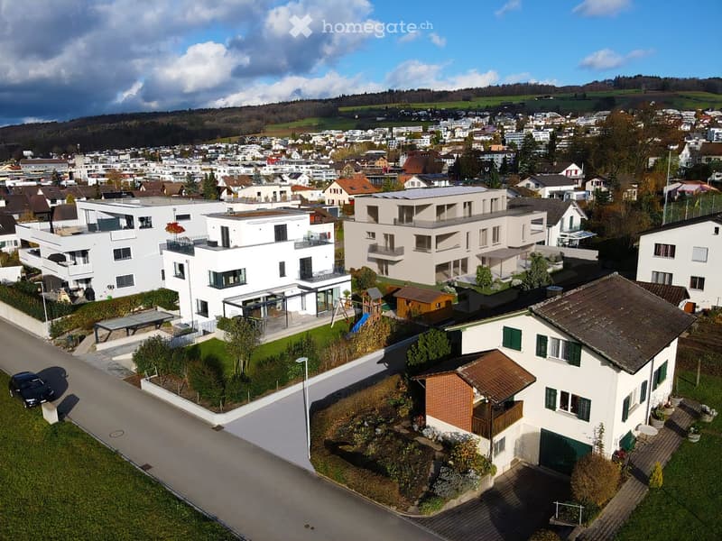 Modern residential buildings, landscaped gardens, paved road, cars parked, trees, clear sky with clouds, hills in the distance