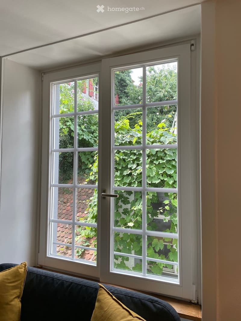Double-glazed windows, brown sofa, view of green plants, beige pillows