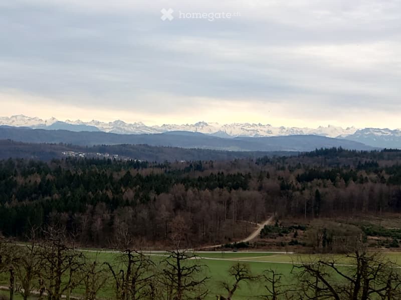 Panoramic view of mountains, greenery and a valley in the background