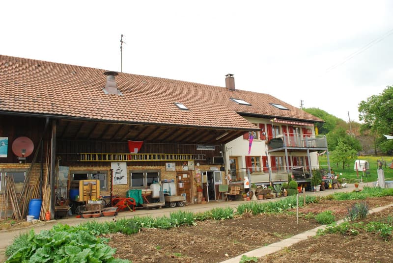Red tiled roof, raised ground floor, red shutters, terrace, multiple doors, ladders, various storage items