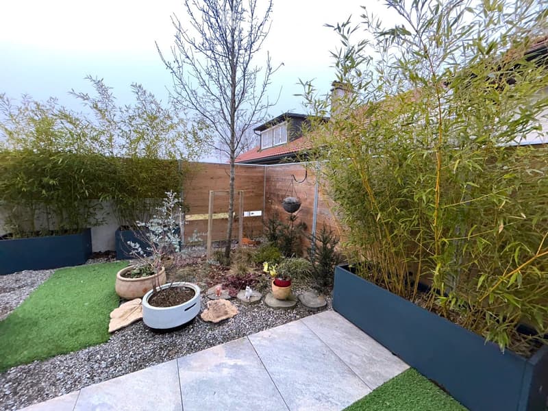 well-maintained garden with various potted plants, a tree, and a grassy area