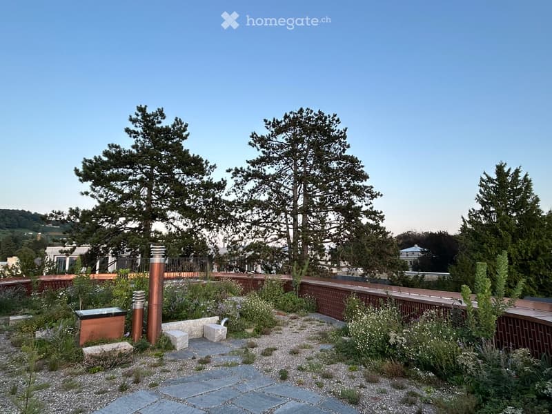 Rooftop garden with brick borders, cobblestone path, two brown posts, trees, and greenery. Clear blue sky and distant view of buildings.