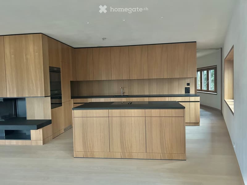 modern kitchen with wooden cabinets, black countertop, stainless steel appliances, open fireplace