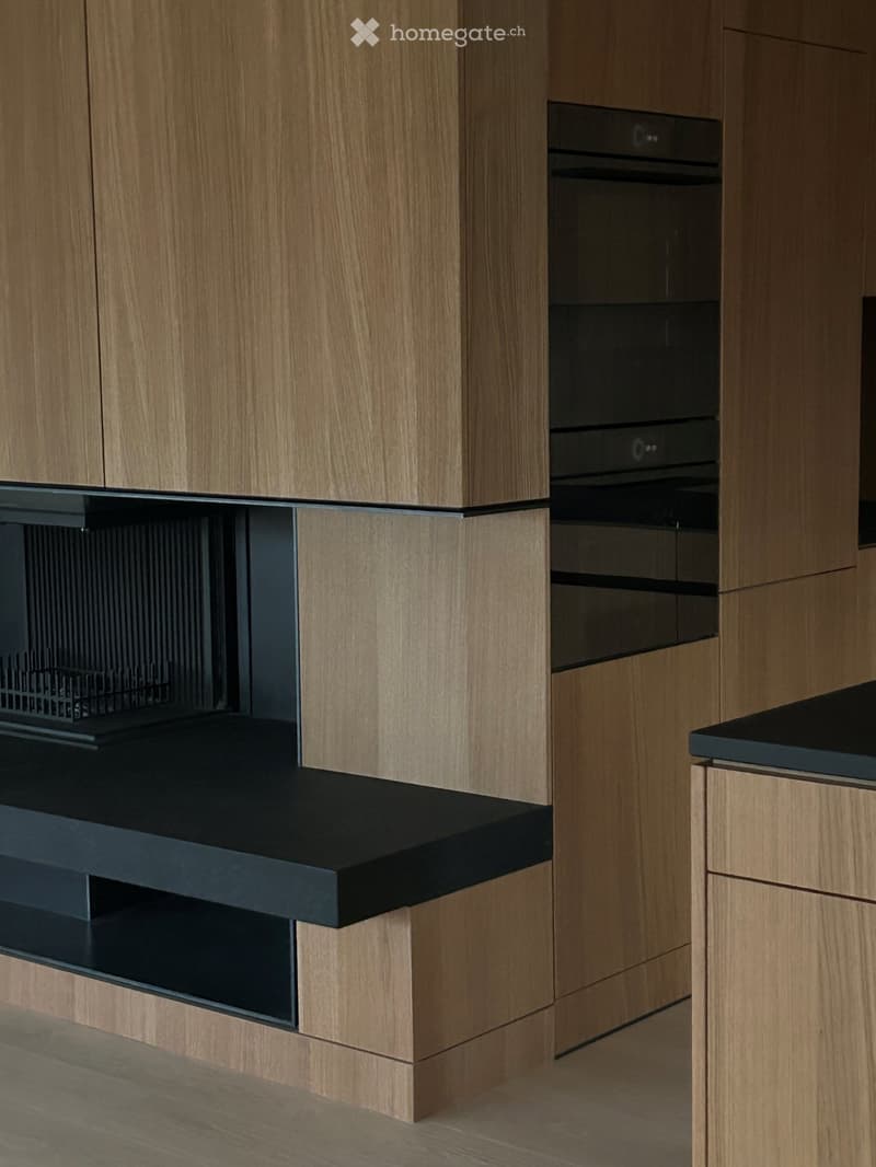modern kitchen, wooden cabinets, black countertops, integrated oven, built-in fireplace