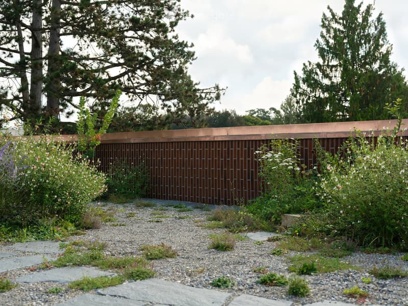 Garden area with gravel pathway, wooden fence, and various plants and shrubs.