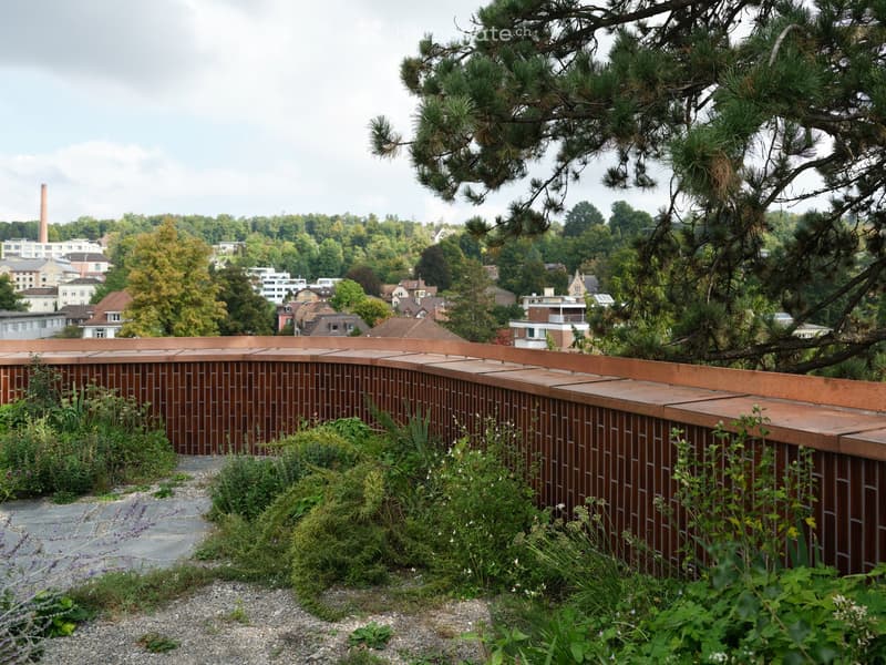 A rooftop terrace with a brick railing, greenery, and a view of a cityscape with trees and buildings.