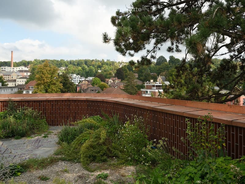 brown brick wall, grassy area, shrubs, concrete pathway, and view of the city