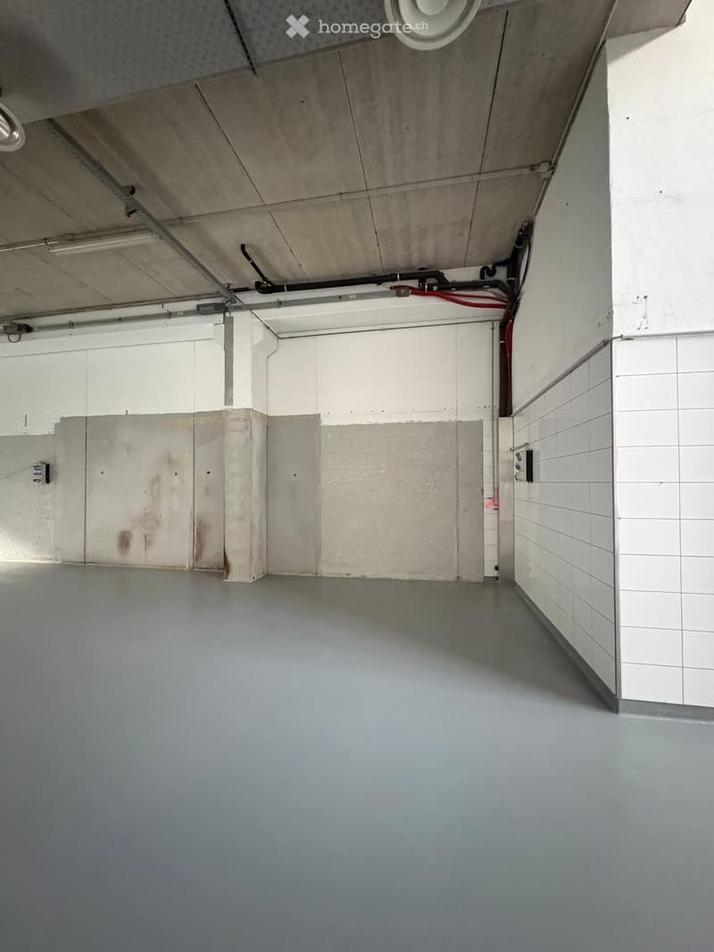 Spazio industriale moderno a Losone - Via Zandone (15)