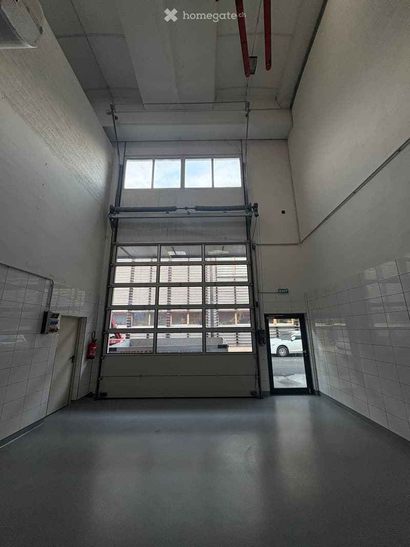 Spazio industriale moderno a Losone - Via Zandone (19)