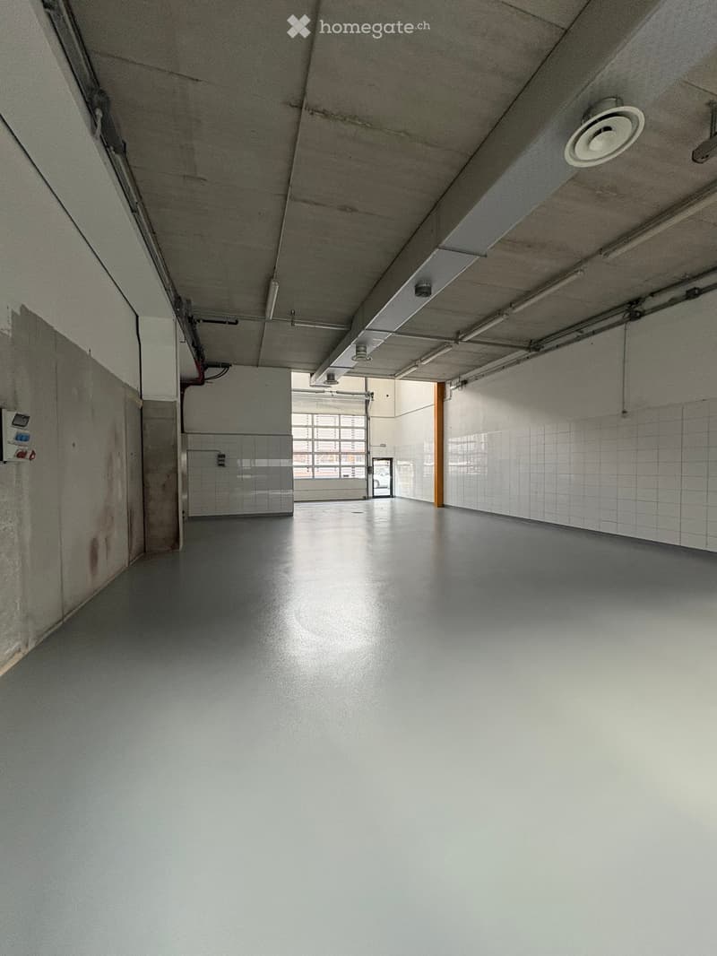 Spazio industriale moderno a Losone - Via Zandone (17)