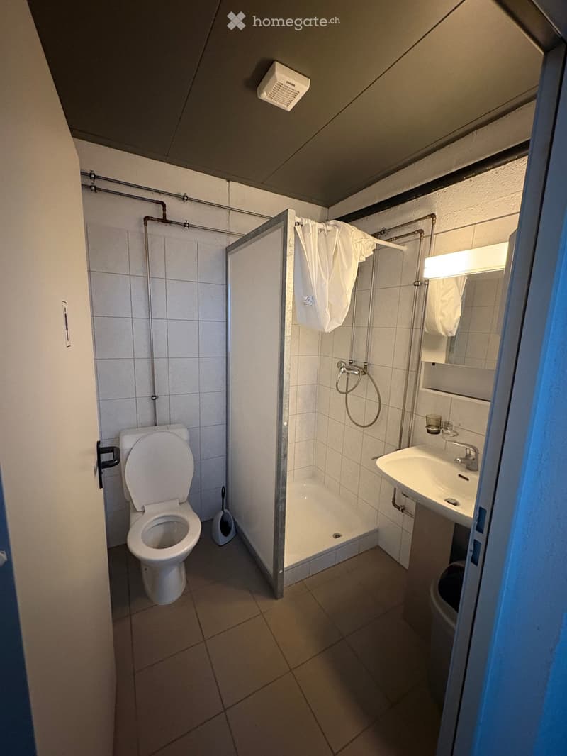 Small bathroom with toilet, shower, sink, and mirror