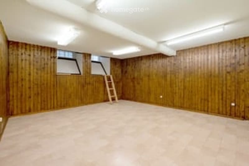empty room, wooden walls, white ceiling, two windows, ladder