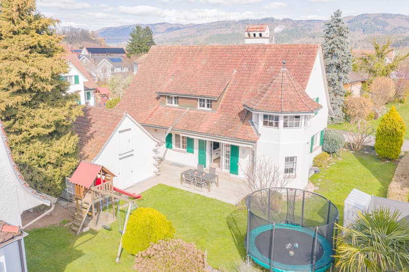 2 story house, red roof, green shutters, garden, trampoline, playset, table and chairs