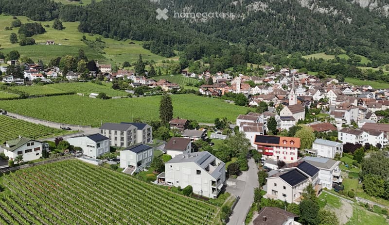 Modern houses in a village, surrounded by vineyards and mountains, raised ground floor, solar panels
