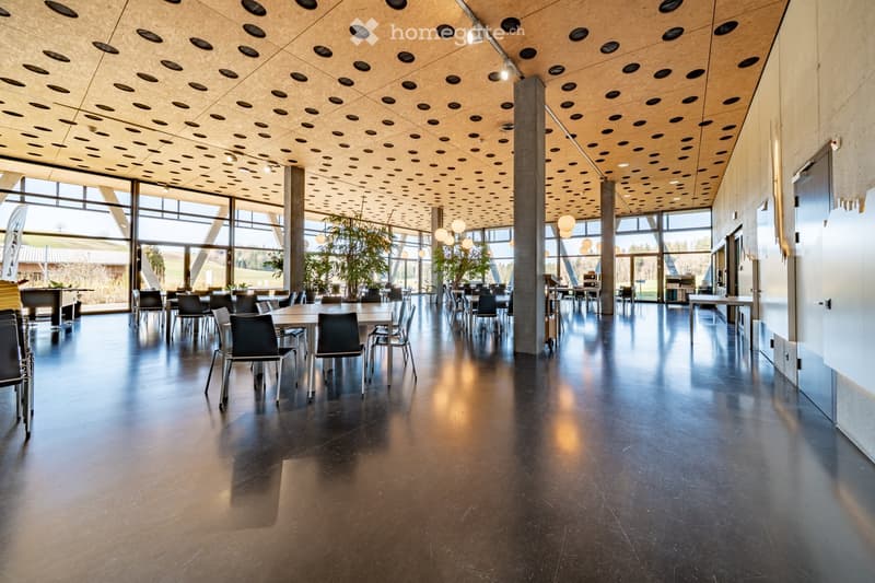 modern dining area with large windows, tables and chairs, wooden ceiling with holes, plants