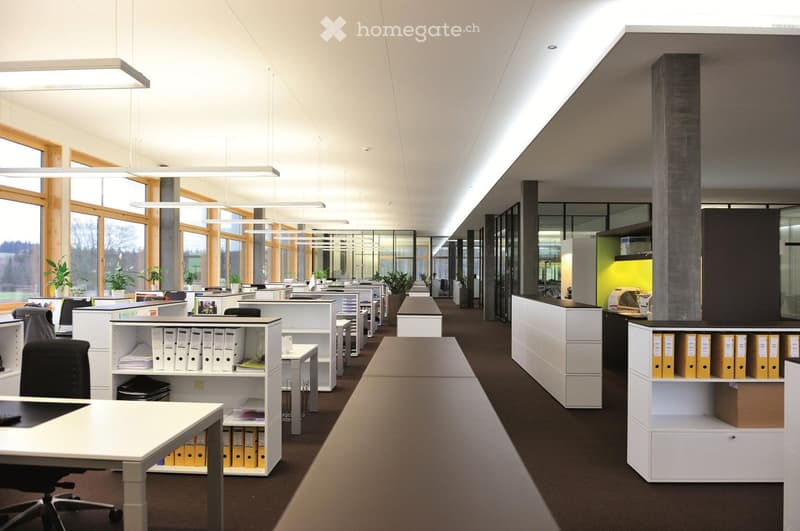 modern office space, white desks, black chairs, white shelves, large windows, plants, carpeted floor, ceiling lights
