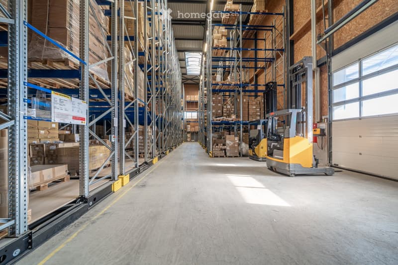 large warehouse with high shelves, forklifts, boxes, concrete floor, large windows