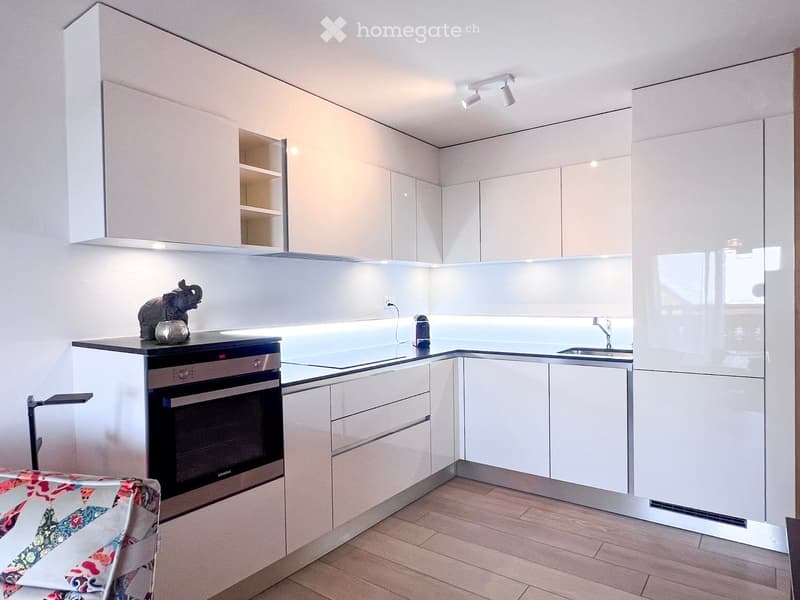 modern kitchen with white cabinets, wooden floor, built-in oven, dishwasher, sink, faucet, countertop, ceiling lights