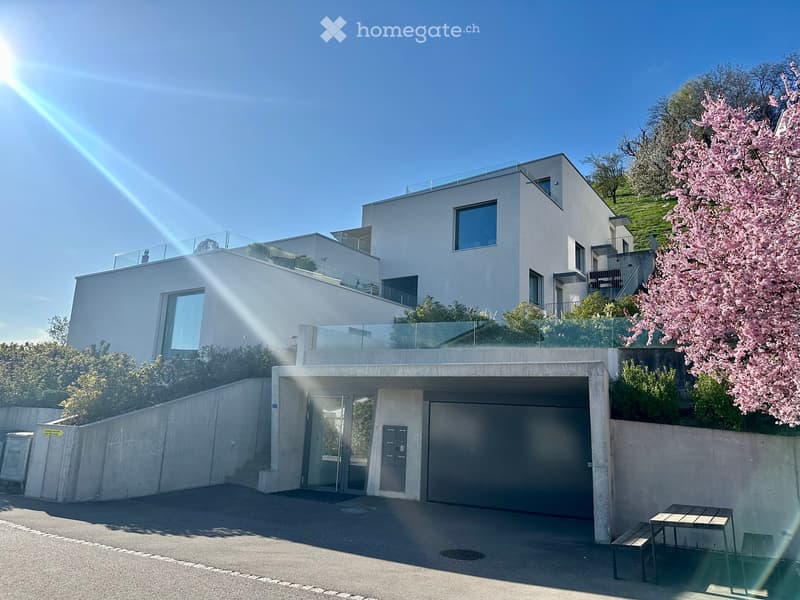 Modern white house, glass balcony, garage, concrete wall, pink cherry blossom tree