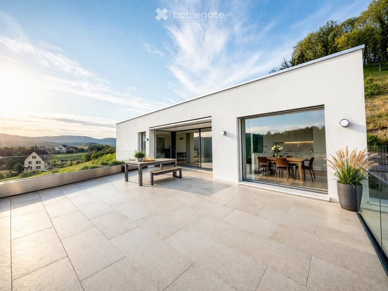 modern white house, large terrace, dining table, bench, potted plant, glass walls, kitchen inside