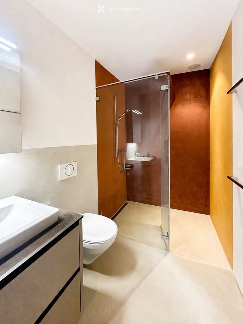 modern bathroom with white toilet, white sink, glass shower enclosure, brown walls, white ceiling