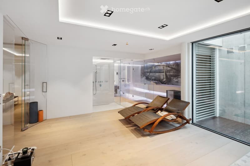 modern design, wooden floor, glass walls, two lounge chairs, shower room, white walls