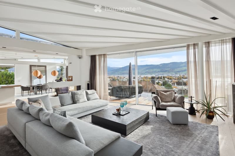 modern living room, large windows, gray sofa, coffee table, carpet, plants, view of mountains