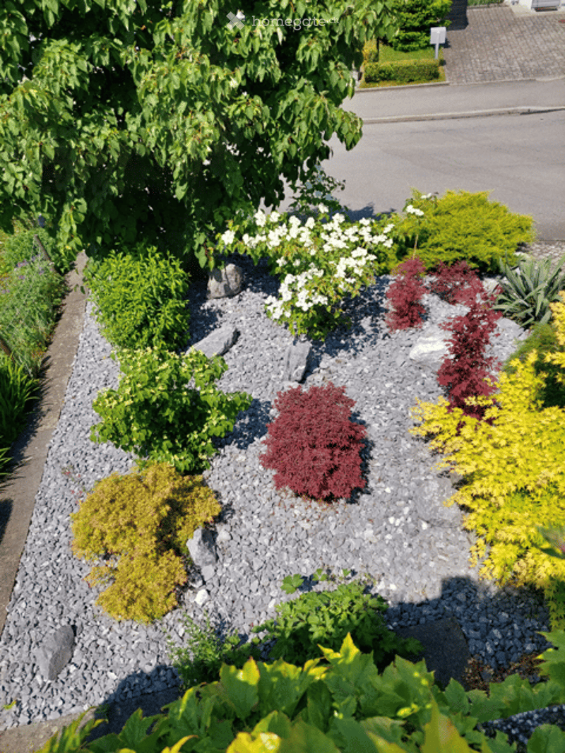 A garden with a variety of plants, including white flowers, red and yellow shrubs, and green bushes, all set on a gravel base.