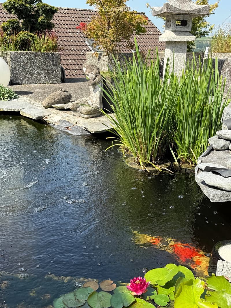 A pond with water lilies and fish, surrounded by rocks and plants, with a stone lantern and a statue in the background.
