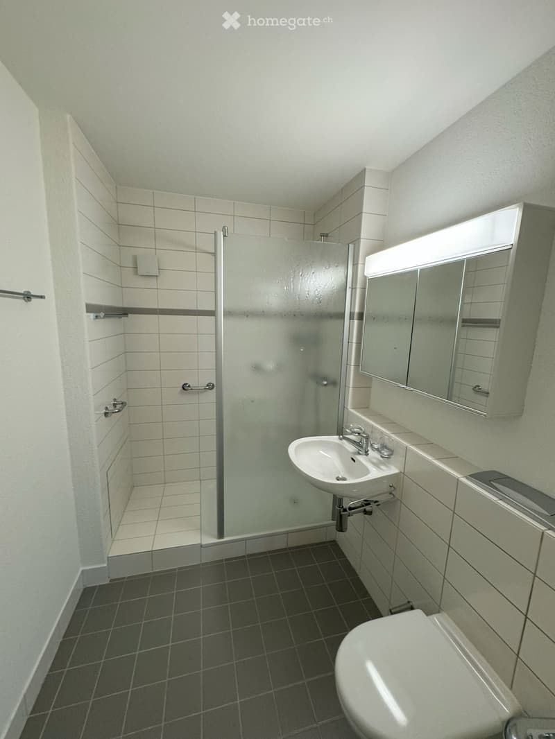 modern bathroom with shower, sink, toilet, and mirror